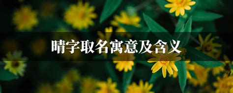 晴名字意思|晴字取名的寓意